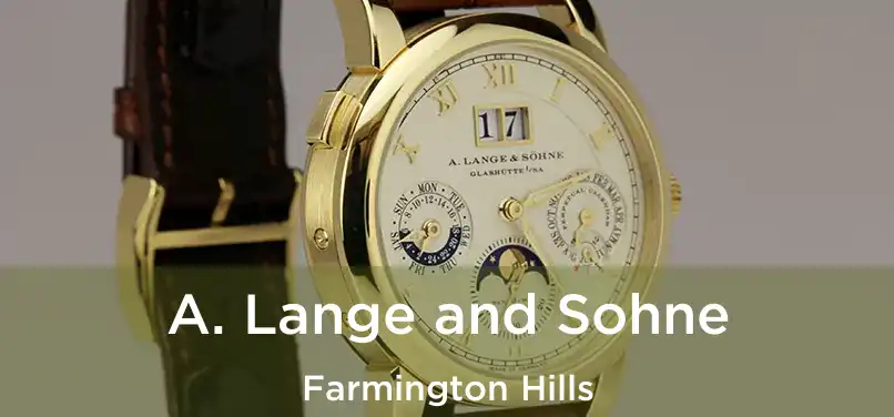 A. Lange and Sohne Farmington Hills