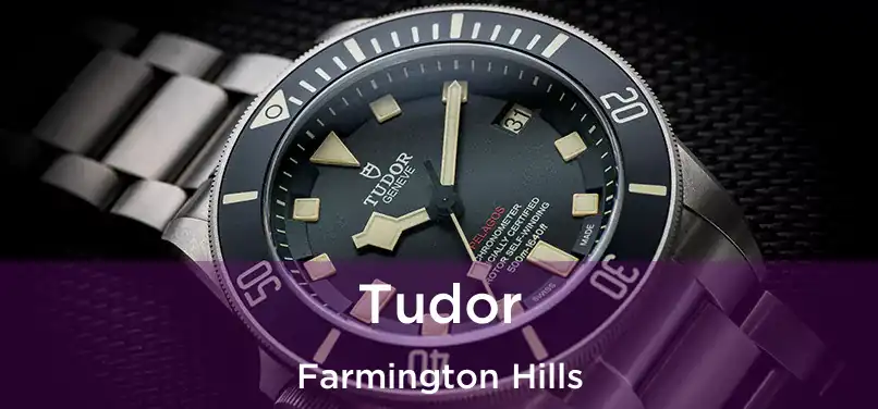 Tudor Farmington Hills