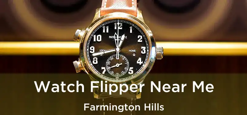 Watch Flipper Near Me Farmington Hills